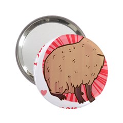 Capybara Art T- Shirt I Just Really Like Capybaras O K  T- Shirt Yoga Reflexion Pose T- Shirtyoga Reflexion Pose T- Shirt 2.25  Handbag Mirrors