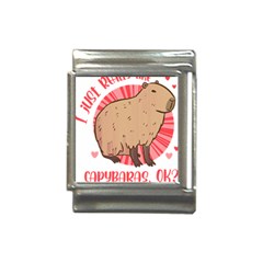 Capybara Art T- Shirt I Just Really Like Capybaras O K  T- Shirt Yoga Reflexion Pose T- Shirtyoga Reflexion Pose T- Shirt Italian Charm (13mm)