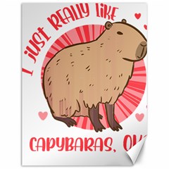 Capybara Art T- Shirt I Just Really Like Capybaras O K  T- Shirt Yoga Reflexion Pose T- Shirtyoga Reflexion Pose T- Shirt Canvas 12  x 16 