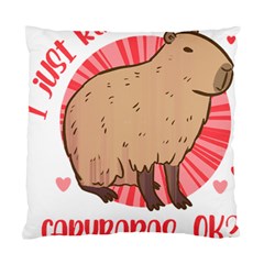 Capybara Art T- Shirt I Just Really Like Capybaras O K  T- Shirt Yoga Reflexion Pose T- Shirtyoga Reflexion Pose T- Shirt Standard Cushion Case (Two Sides)