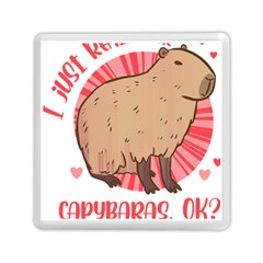 Capybara Art T- Shirt I Just Really Like Capybaras O K  T- Shirt Yoga Reflexion Pose T- Shirtyoga Reflexion Pose T- Shirt Memory Card Reader (Square)