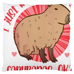 Capybara Art T- Shirt I Just Really Like Capybaras O K  T- Shirt Yoga Reflexion Pose T- Shirtyoga Reflexion Pose T- Shirt Large Cushion Case (One Side)