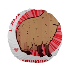 Capybara Art T- Shirt I Just Really Like Capybaras O K  T- Shirt Yoga Reflexion Pose T- Shirtyoga Reflexion Pose T- Shirt Standard 15  Premium Round Cushions