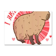 Capybara Art T- Shirt I Just Really Like Capybaras O K  T- Shirt Yoga Reflexion Pose T- Shirtyoga Reflexion Pose T- Shirt Crystal Sticker (A4)