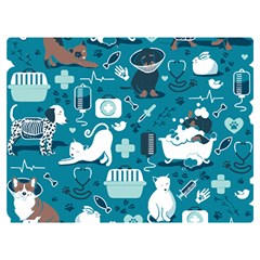 Veterinarian Medicine T- Shirt Veterinary Medicine, Happy And Healthy Friends    Turquoise Backgroun Two Sides Premium Plush Fleece Blanket (extra Small)