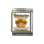 Veterinary Medicine T- Shirt Behind Every Great Veterinarian For Veterinary Receptionist T- Shirt Italian Charm (13mm) Front