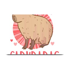 Capybara Love T- Shirt Just A Girl Who Loves Capybaras A Cute Design For Capybara Lovers T- Shirt Yoga Reflexion Pose T- Shirtyoga Reflexion Pose T- Shirt Plate Mats by hizuto