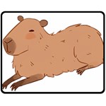 Capybara T- Shirt Cute Capybara Illustration T- Shirt Yoga Reflexion Pose T- Shirtyoga Reflexion Pose T- Shirt Two Sides Fleece Blanket (Medium) 58.8 x47.4  Blanket Front