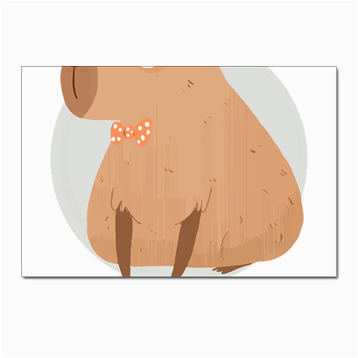 Capybara T- Shirt Gentlemen Capybara - A Cute Funny Capybara Illustration T- Shirt Yoga Reflexion Pose T- Shirtyoga Reflexion Pose T- Shirt Postcard 4 x 6  (Pkg of 10)