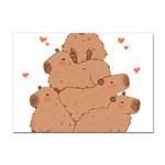 Capybara T- Shirt I Just Really Like Capybaras O K T- Shirt Yoga Reflexion Pose T- Shirtyoga Reflexion Pose T- Shirt Sticker A4 (10 pack) Front