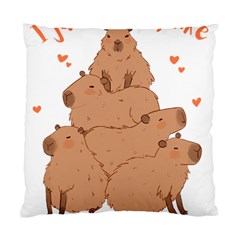 Capybara T- Shirt I Just Really Like Capybaras O K T- Shirt Yoga Reflexion Pose T- Shirtyoga Reflexion Pose T- Shirt Standard Cushion Case (two Sides)