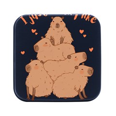 Capybara T- Shirt I Just Really Like Capybaras O K T- Shirt Yoga Reflexion Pose T- Shirtyoga Reflexion Pose T- Shirt Square Metal Box (black)