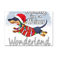 Weiner T- Shirt Walking In A Weiner Wonderland T- Shirt (1) Sticker A4 (10 Pack) by ZUXUMI