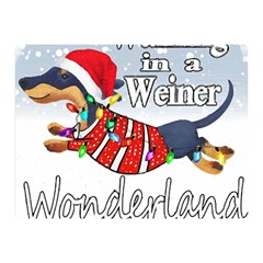 Weiner T- Shirt Walking In A Weiner Wonderland T- Shirt (1) Two Sides Premium Plush Fleece Blanket (mini)