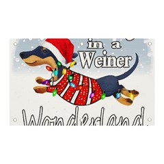 Weiner T- Shirt Walking In A Weiner Wonderland T- Shirt (1) Banner And Sign 5  X 3  by ZUXUMI