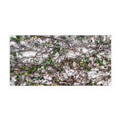 Climbing Plant At Outdoor Wall Yoga Headband by dflcprintsclothing