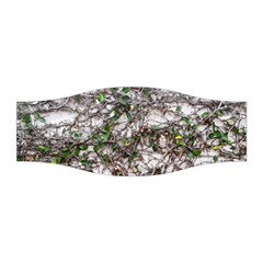 Climbing Plant At Outdoor Wall Stretchable Headband by dflcprintsclothing