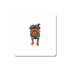 Brussels Griffon T- Shirt White Look Calm Brussels Griffon 01 T- Shirt Square Magnet by EnriqueJohnson