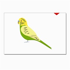 Budgerigar T- Shirt Steal Your Heart Budgerigar 01 T- Shirt Postcards 5  X 7  (pkg Of 10) by EnriqueJohnson