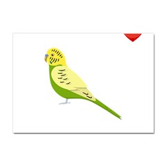 Budgerigar T- Shirt Steal Your Heart Budgerigar 01 T- Shirt Crystal Sticker (a4) by EnriqueJohnson