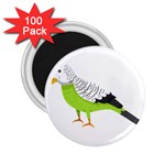 Budgerigar T- Shirt White Look Calm Budgerigar 05 T- Shirt 2.25  Magnets (100 pack)  Front