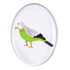 Budgerigar T- Shirt White Look Calm Budgerigar 05 T- Shirt Oval Glass Fridge Magnet (4 Pack) by EnriqueJohnson