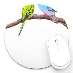 Budgies T- Shirt Cute Budgie Couple T- Shirt Round Mousepad by EnriqueJohnson