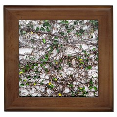 Climbing Plant At Outdoor Wall Framed Tile by dflcprintsclothing