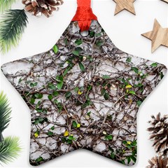 Climbing Plant At Outdoor Wall Ornament (star)