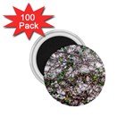 Climbing Plant At Outdoor Wall 1.75  Magnets (100 pack)  Front