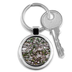 Climbing Plant At Outdoor Wall Key Chain (round) by dflcprintsclothing