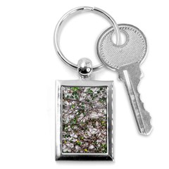 Climbing Plant At Outdoor Wall Key Chain (rectangle) by dflcprintsclothing