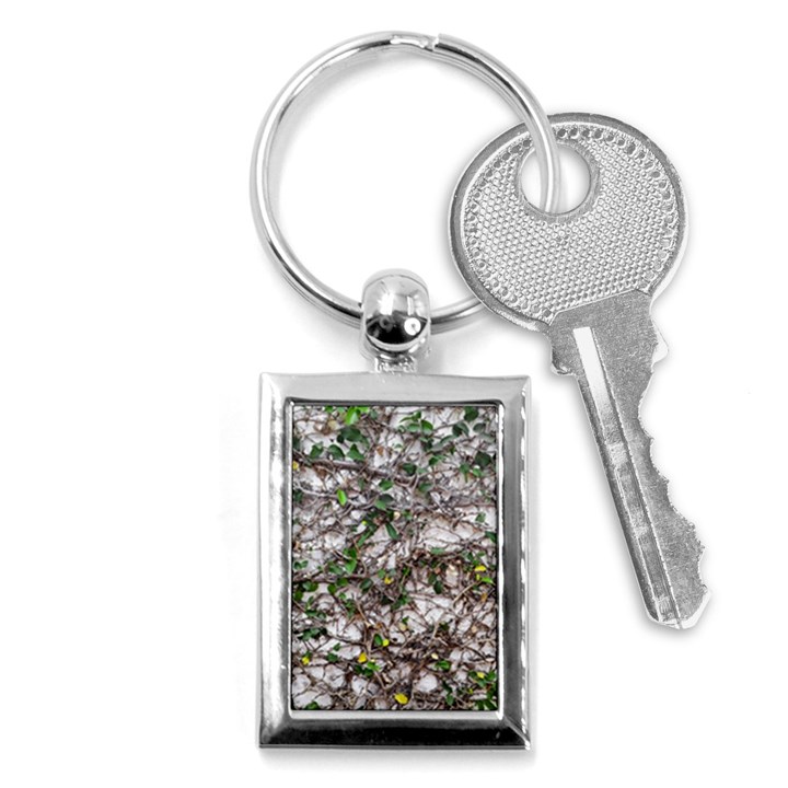 Climbing Plant At Outdoor Wall Key Chain (Rectangle)