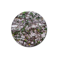 Climbing Plant At Outdoor Wall Rubber Coaster (round) by dflcprintsclothing