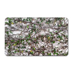 Climbing Plant At Outdoor Wall Magnet (rectangular) by dflcprintsclothing