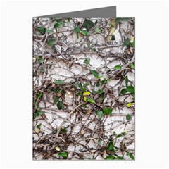 Climbing Plant At Outdoor Wall Greeting Cards (pkg Of 8) by dflcprintsclothing