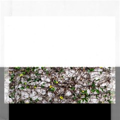 Climbing Plant At Outdoor Wall Rectangular Jigsaw Puzzl by dflcprintsclothing