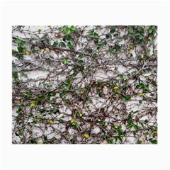 Climbing Plant At Outdoor Wall Small Glasses Cloth