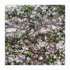 Climbing Plant At Outdoor Wall Medium Glasses Cloth (2 Sides)