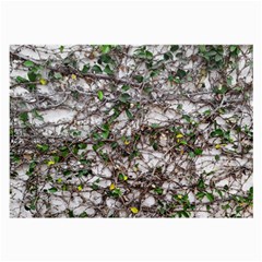 Climbing Plant At Outdoor Wall Large Glasses Cloth