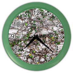 Climbing Plant At Outdoor Wall Color Wall Clock