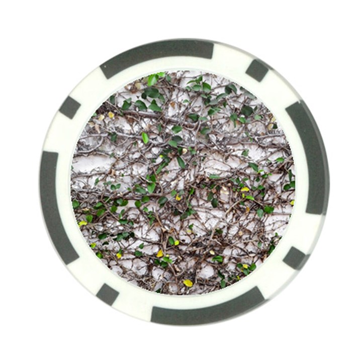 Climbing Plant At Outdoor Wall Poker Chip Card Guard