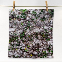 Climbing Plant At Outdoor Wall Face Towel