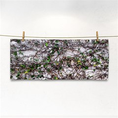 Climbing Plant At Outdoor Wall Hand Towel by dflcprintsclothing