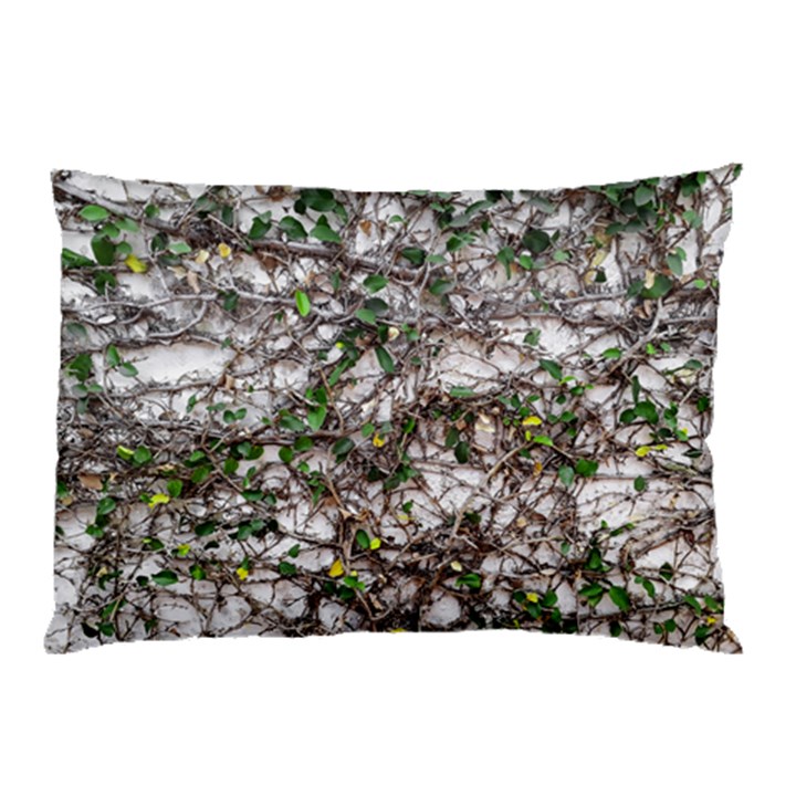 Climbing Plant At Outdoor Wall Pillow Case