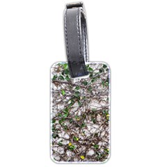 Climbing Plant At Outdoor Wall Luggage Tag (two Sides) by dflcprintsclothing