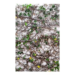 Climbing Plant At Outdoor Wall Shower Curtain 48  X 72  (small)  by dflcprintsclothing