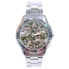 Climbing Plant At Outdoor Wall Stainless Steel Analogue Watch by dflcprintsclothing