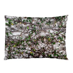 Climbing Plant At Outdoor Wall Pillow Case (two Sides) by dflcprintsclothing