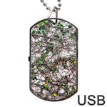 Climbing Plant At Outdoor Wall Dog Tag USB Flash (One Side) Front